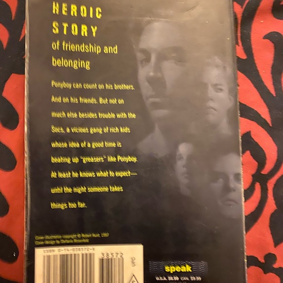 🟢The Outsiders Book - Picture 6 of 6